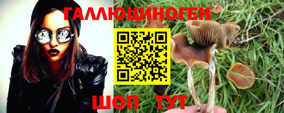 Галлюциногенные грибы MAGIC MUSHROOMS  Вход с VPN  Коломна 