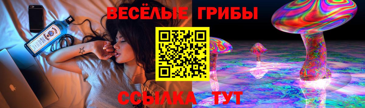 Галлюциногенные грибы мухоморы Коломна